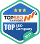 Named #1 Digital Agency in Many Countries! - TK体育
